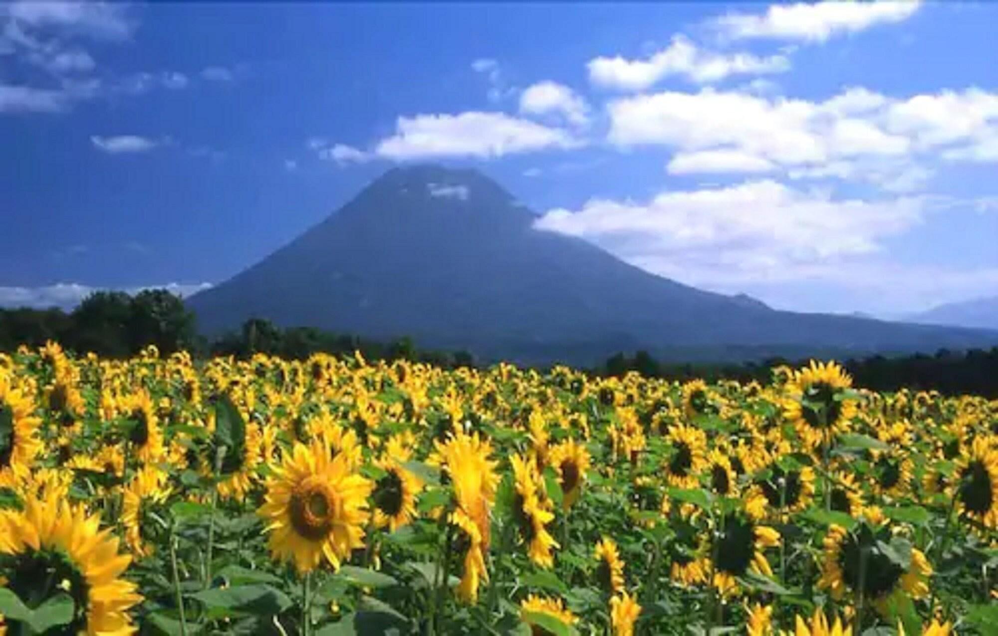 Niseko Prince Hotel Hirafutei Экстерьер фото